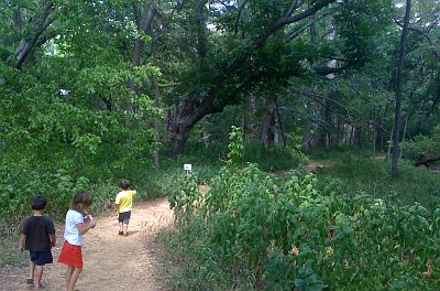 The three monkeys in the lead as we start off on the river trail.